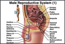 Manchitra Vigyan & Surgical Udyog